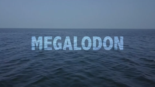 Megalodon 2018